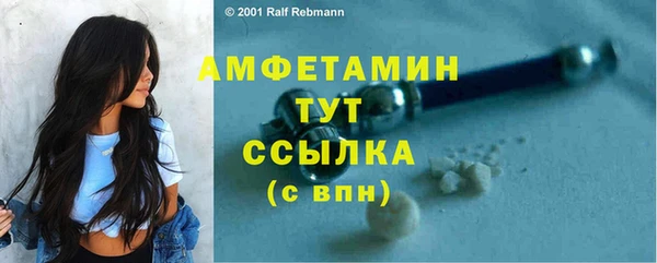 ПСИЛОЦИБИНОВЫЕ ГРИБЫ Переславль-Залесский