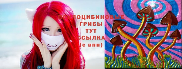 ПСИЛОЦИБИНОВЫЕ ГРИБЫ Переславль-Залесский